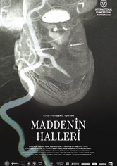 Maddenin Halleri