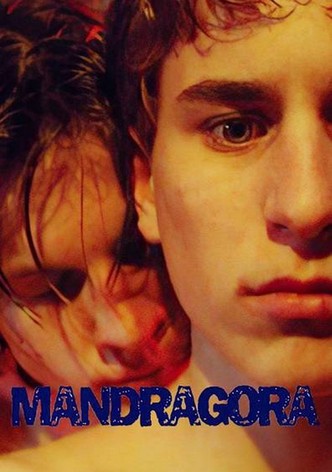 Mandrake