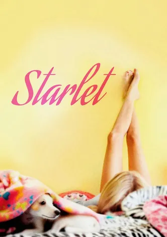 Starlet poster