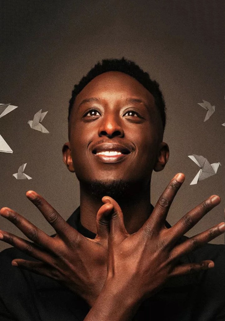 Ahmed Sylla : Origami