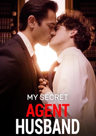 My Secret Agent Husband