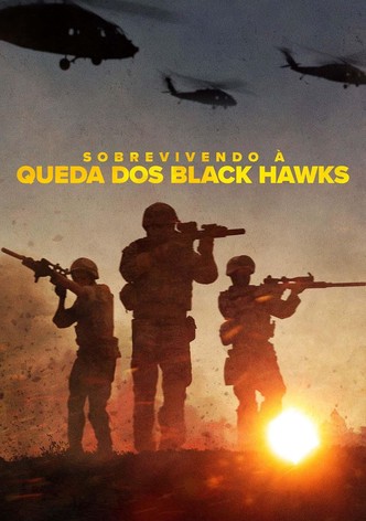 Sobrevivendo à queda dos Black Hawks