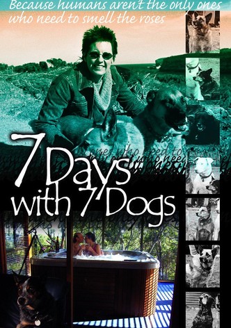 7 Days with 7 Dogs