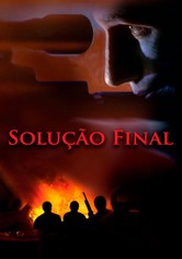 Final Solution