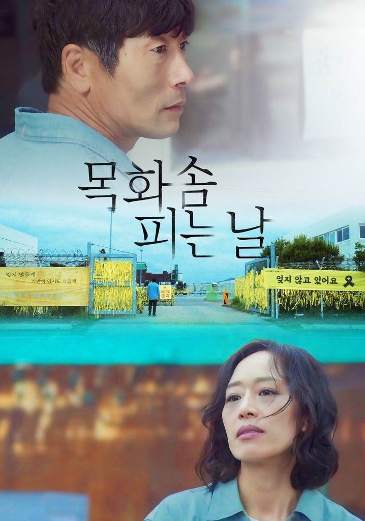 목화솜 피는 날 영화 스트리밍으로 볼 수 있는 곳