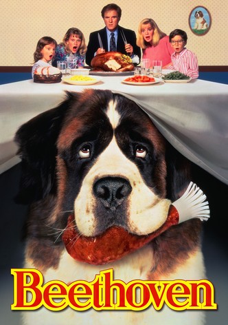 Τα Καμώματα του… Μπετόβεν