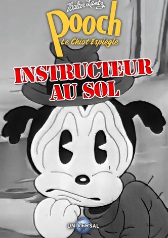 Instructeur au Sol