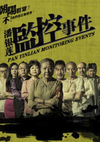 潘银莲监控事件