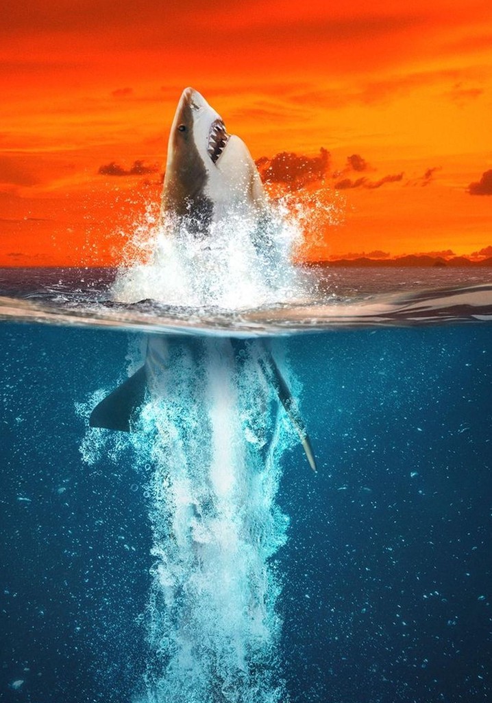 Air Jaws : Mordus de records