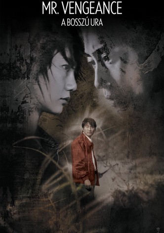 Mr. Vengeance – A bosszú ura