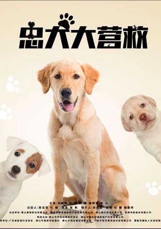 忠犬大营救