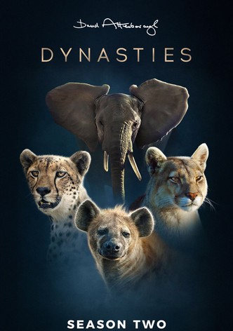 Dynasties 2 - L'avventura della vita