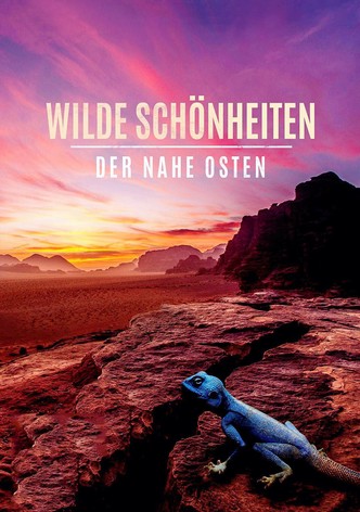 Wilde Schönheiten - Staffel 1