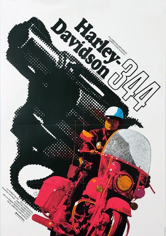 Harley Davidson 344
