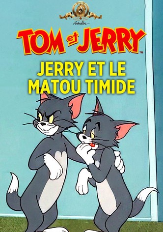 Jerry et le matou timide