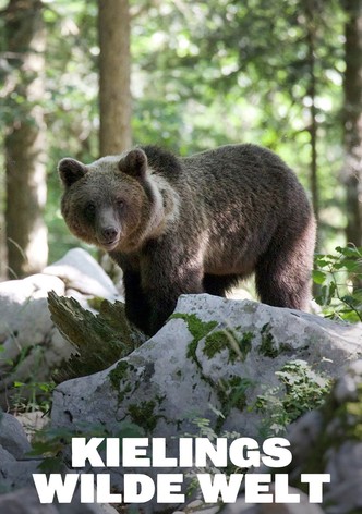 Kielings wilde Welt - Staffel 1
