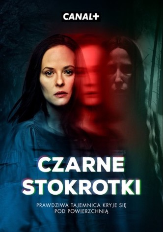 Czarne Stokrotki