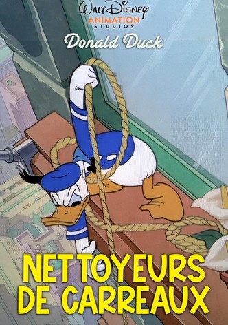Nettoyeurs de Carreaux