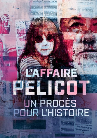 L'affaire Pelicot : un procès pour l'histoire