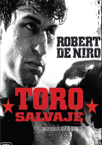 Toro salvaje