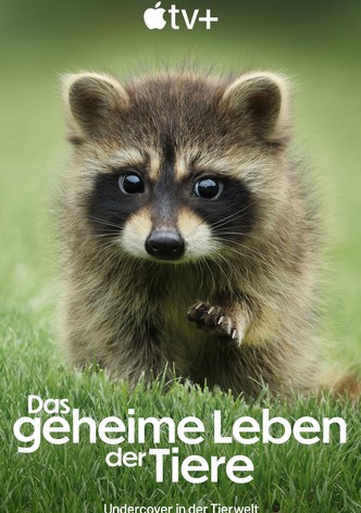 Das geheime Leben der Tiere