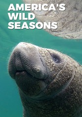 America's Wild Seasons