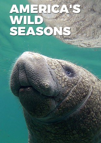 Die Wildnis der USA - Vier Jahreszeiten