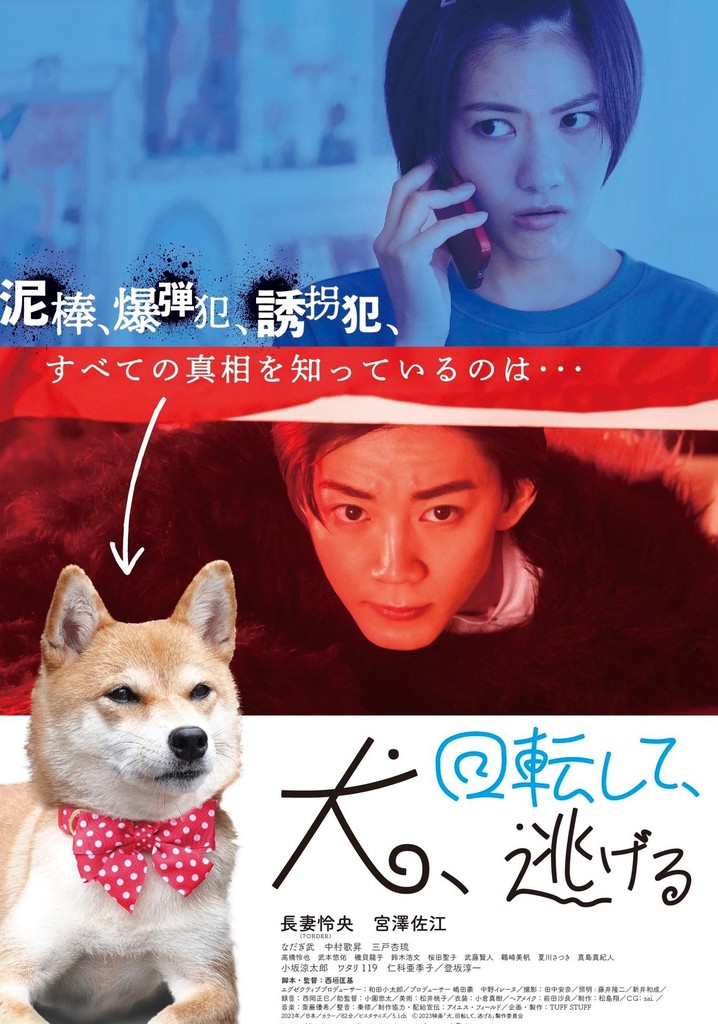 Dog Turns and Runs Away