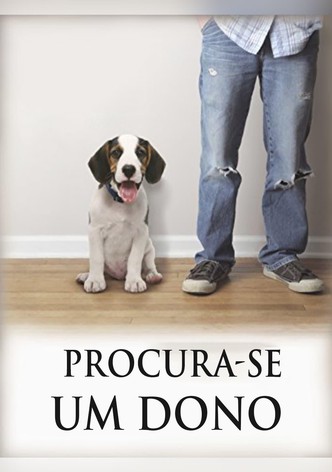 Procura-se um Dono