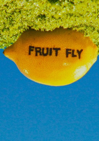 Fruit Fly