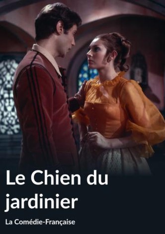 Festival de la couleur: Le chien du jardinier