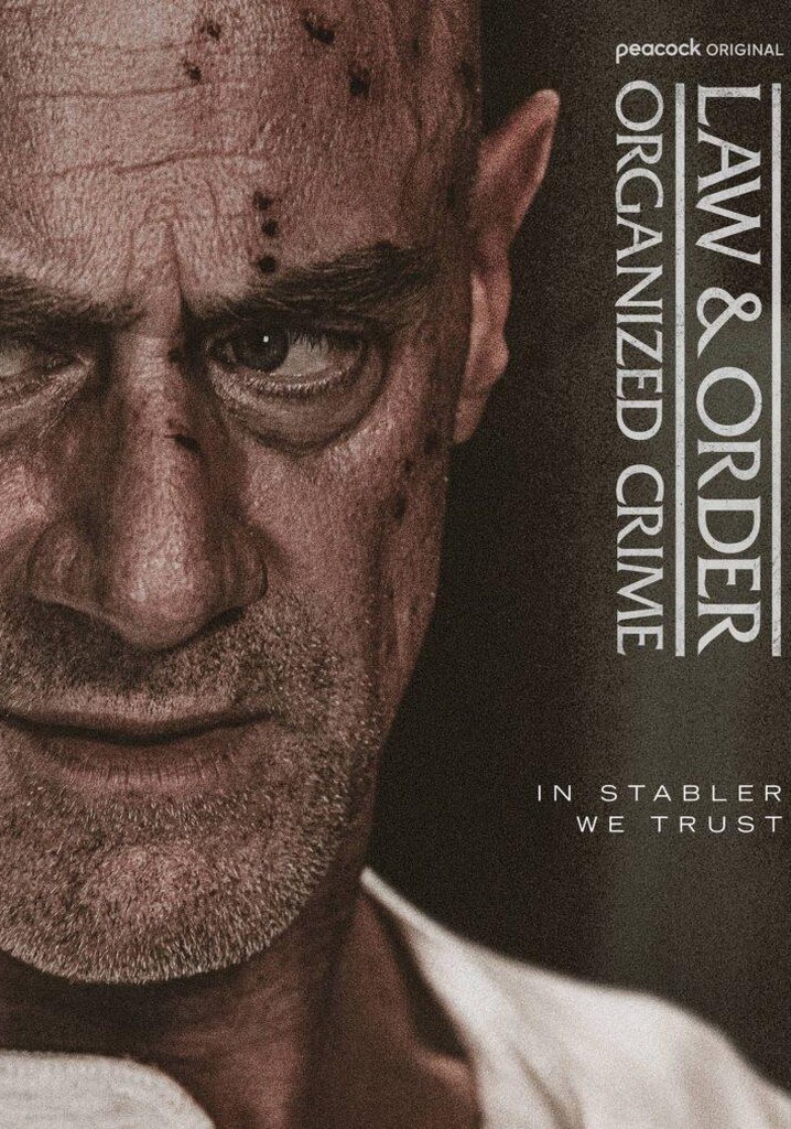 Law & Order: Organized Crime Season 5 - episodes streaming online - Law And Order Organized Crime Watch Online Free