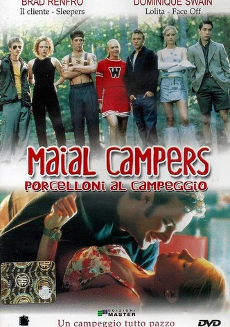 Maial Campers - Porcelloni al campeggio