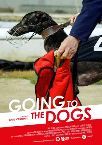 Going to the Dogs