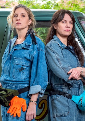 El Tiempo de las Moscas