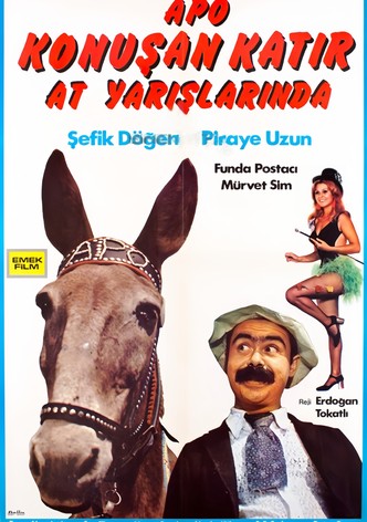 Konusan Katir at Yarislarinda