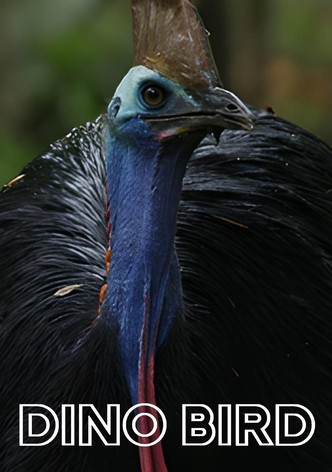 Dino Bird