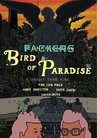 Packers Confidential: Bird of Paradise