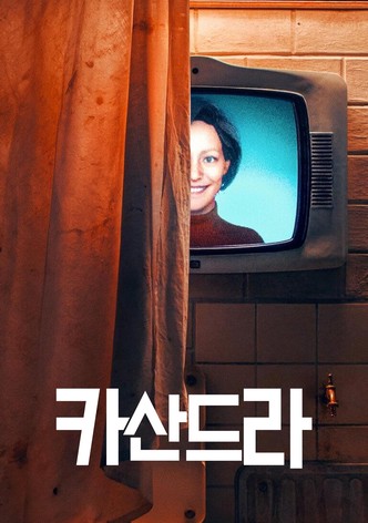 리미티드 시리즈