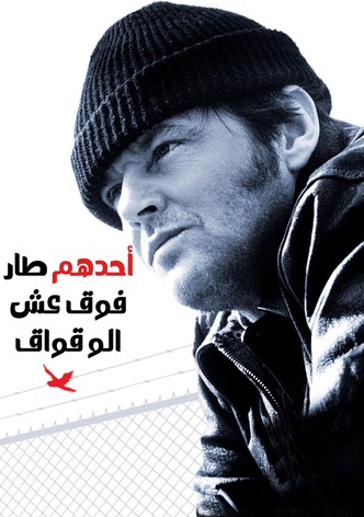 أحدهم طار فوق عش الوقواق