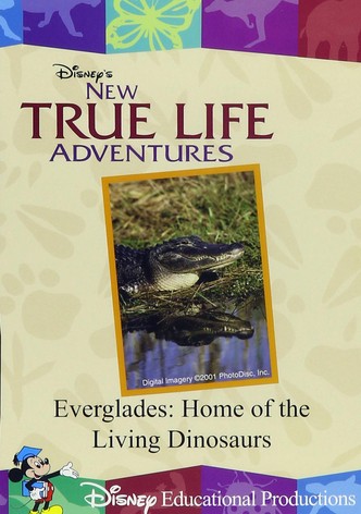Everglades: Home of the Living Dinosaurs