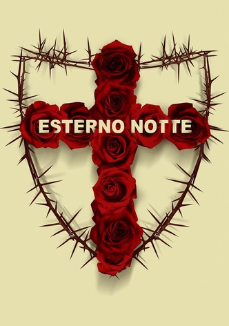 Esterno notte