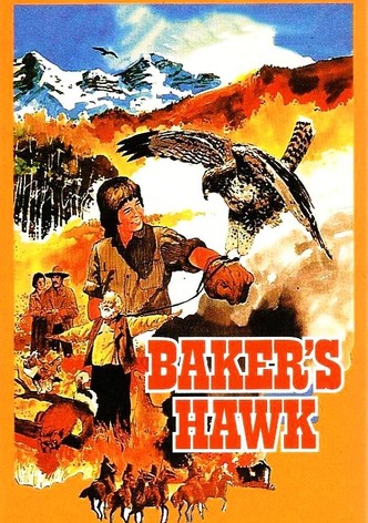Baker's Hawk