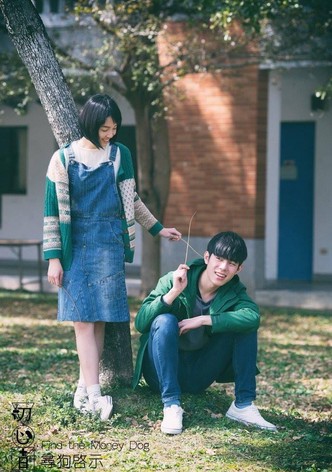尋狗啟示