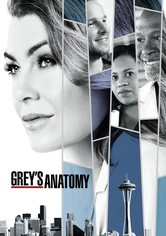 Grey's Anatomy - Grey's Anatomy