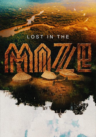 Lost in the Maze