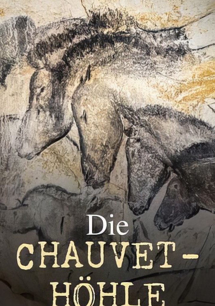 Grotte Chauvet - Dans les pas des artistes de la Préhistoire