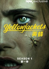 黃蜂 - 第 1 季