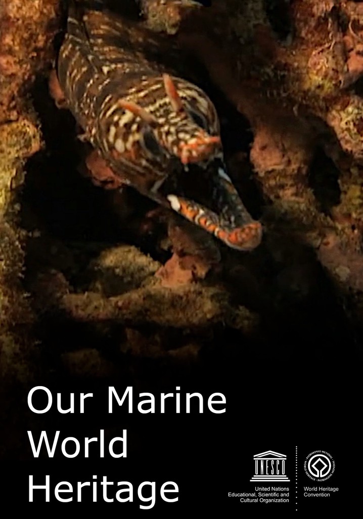 Our Marine World Heritage