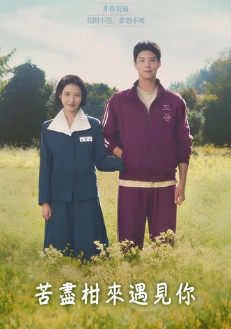 苦尽柑来遇见你